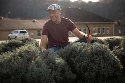 Mark Ponchak, a lavender farmer in McConnellsville, OH on November 6, 2023.
